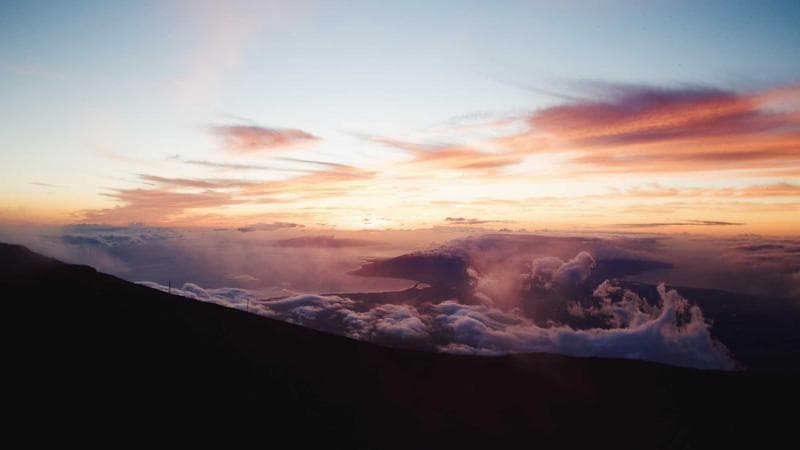 Agency Profit Sharing: Aligning Employee Incentives with Growth