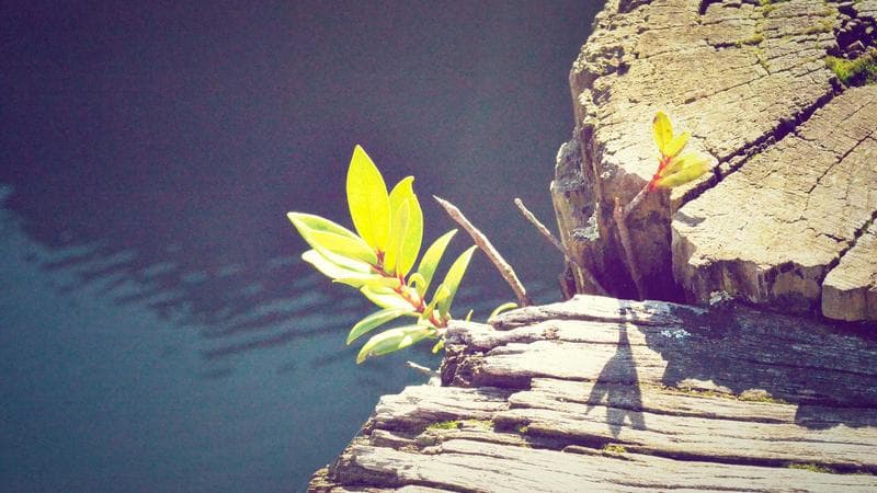 B2B Enterprise Content Strategy: Thought Leadership in 2026