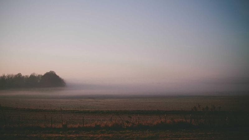 Effective Client Meetings That Don't Waste Time