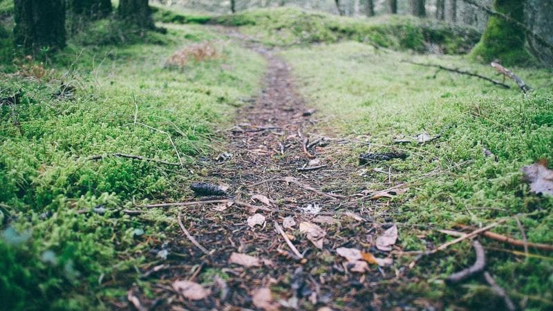 Freelancer to 7-Figure Agency: The 3 Structural Inflection Points