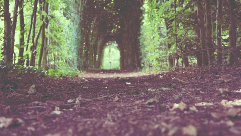 Generative Engine Optimization (GEO): The Next Evolution of SEO