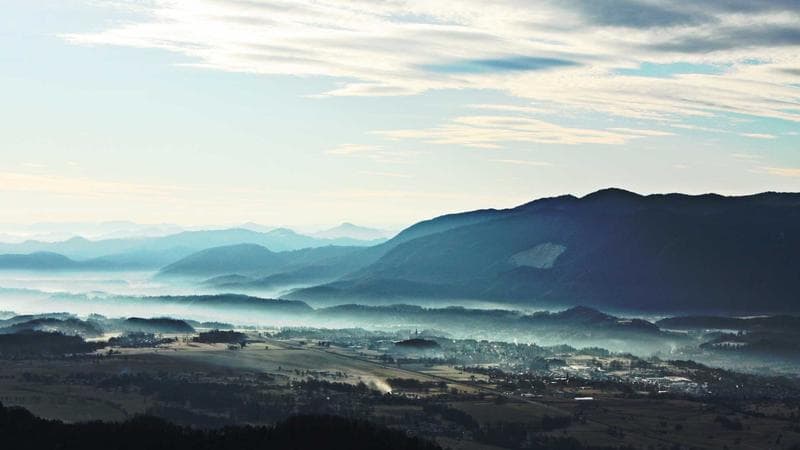 How to Add White Label Services to Your Agency (Without Losing Quality)