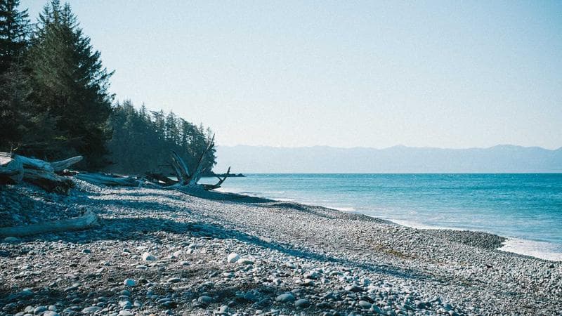 How to Build an Agency Website That Actually Converts
