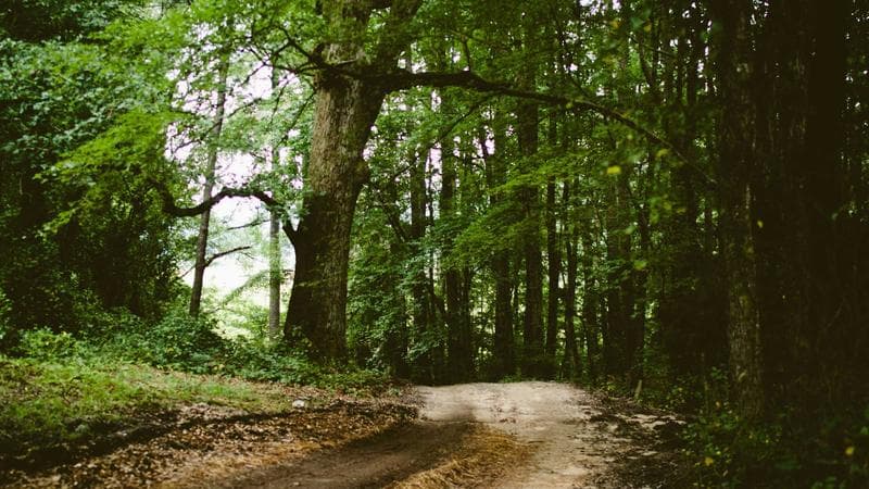 How to Manage a Remote Agency Team Without Losing Control