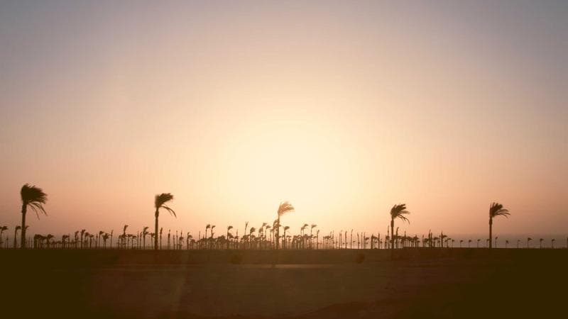 The 4-Day Agency Workweek: How AI Made It Profitable