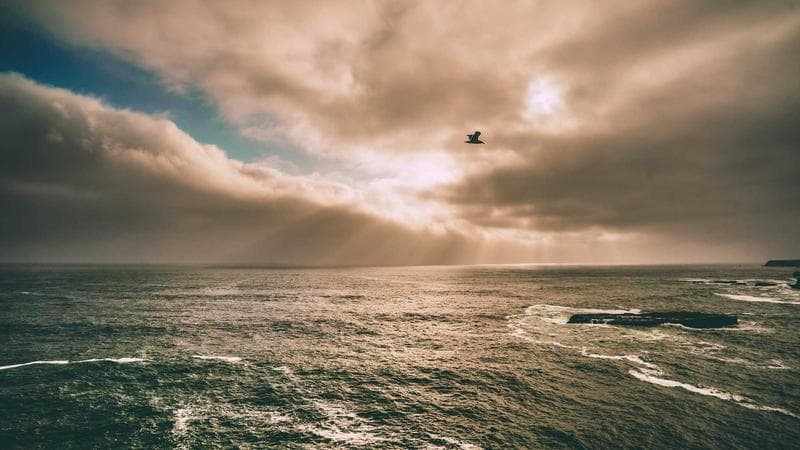 The Fractional CMO Model: Elevating Your Agency's Perceived Value