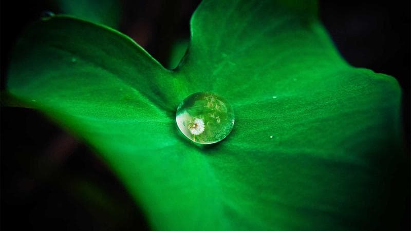The High-Converting Agency Case Study Framework
