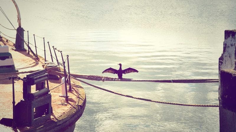 The Zero-Party Data Mandate: Why Agencies Must Build Audience Ownership